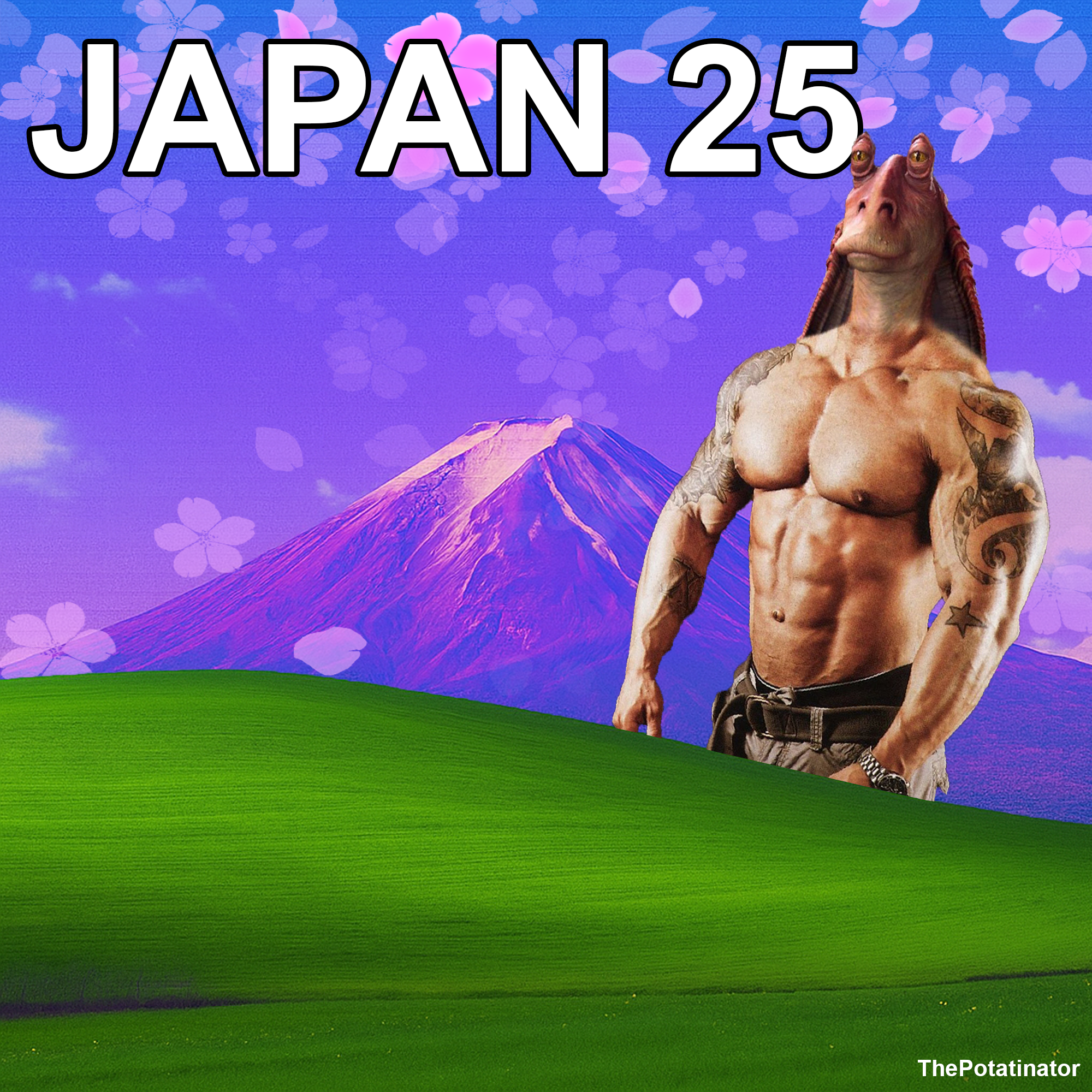 Japan 25 cover
